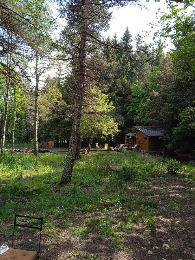 Chalet Cricri Domaine De La Mamounette Champclause Buitenkant foto