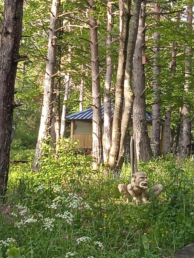 Chalet Cricri Domaine De La Mamounette Champclause Buitenkant foto