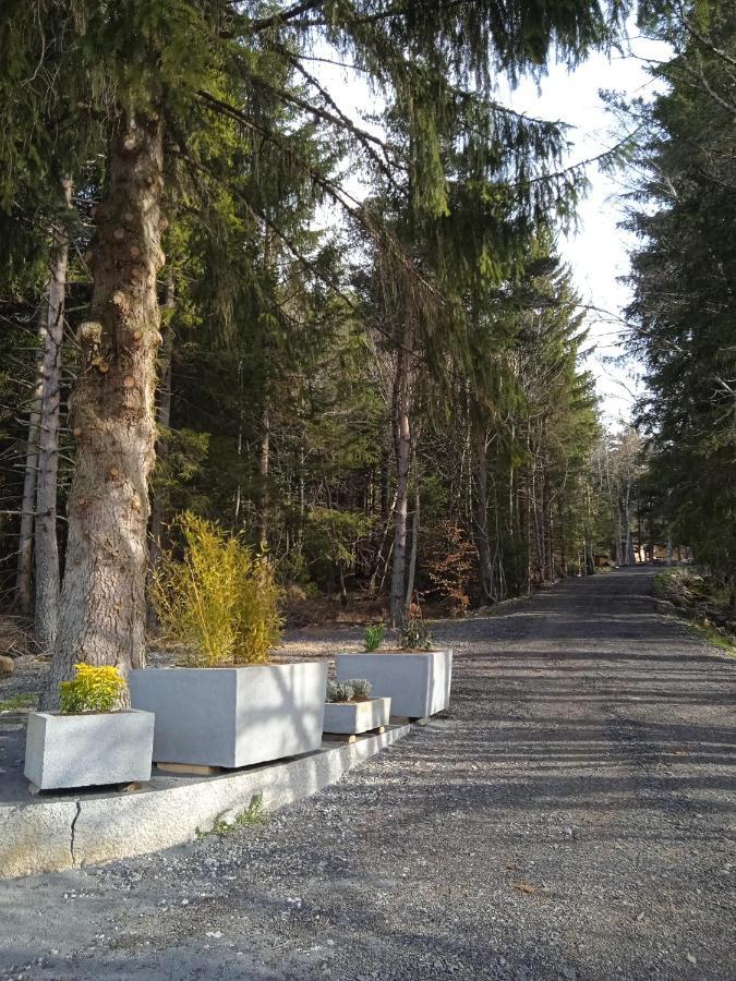 Chalet Cricri Domaine De La Mamounette Champclause Buitenkant foto