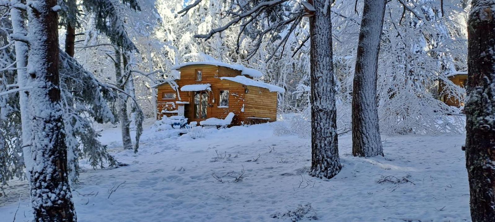 Chalet Cricri Domaine De La Mamounette Champclause Buitenkant foto